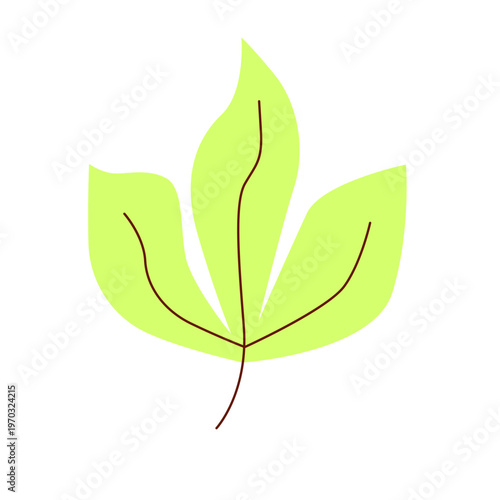 Leaf tree flat vector illustration