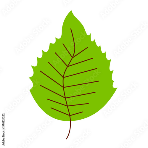 Leaf tree flat vector illustration
