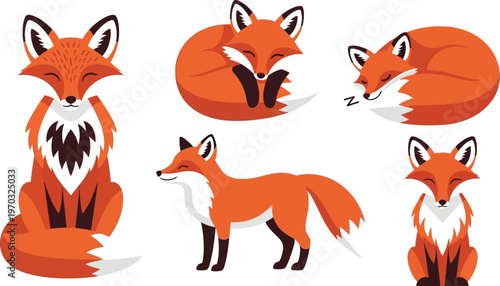 Collection of charming foxes displaying various poses from sitting alertly to sleeping.