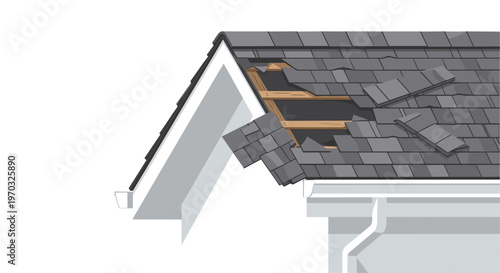 A close-up illustration shows a damaged house roof corner with missing shingles and a white gutter.