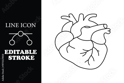 Black line of human heart with veins and arteries on white background next to editable stroke