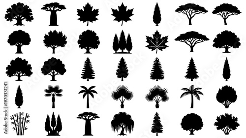Collection of Black Tree Silhouettes Featuring Palm Oak Pine Baobab and Maple Varieties