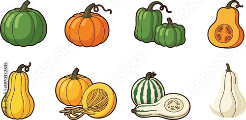 Assorted squash and pumpkins are artistically displayed in a diverse autumnal collection.