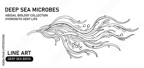 Deep sea microbes abyssal biology collection: line art of hydrovent life and deep sea algae.