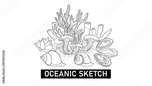 Oceanic sketch: marine life composition with shells, corals, oysters, and sea fungi artwork.