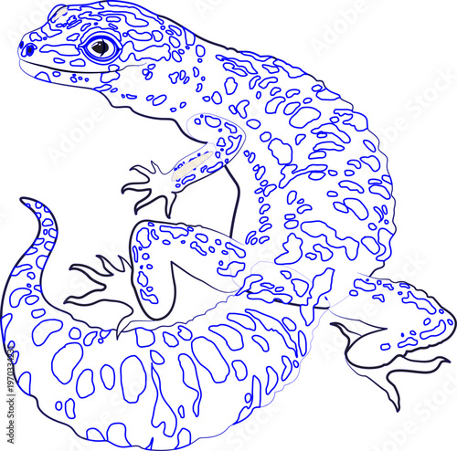 Reptile coloring book design elements black white handdrawn sketch.eps