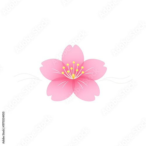 PNG Delicate pink cherry blossom illustration.