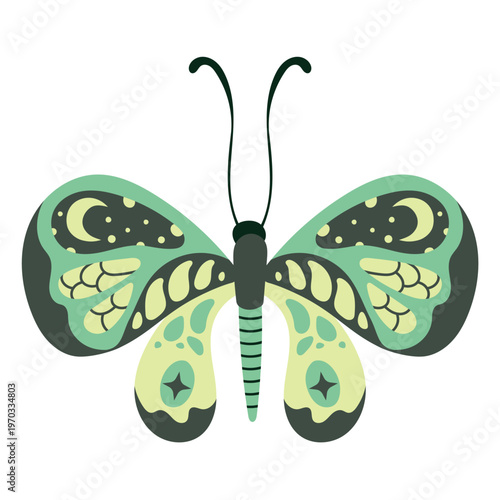 Stylized hand drawn celestial butterfly with green patterned wings. Decorative abstract shapes insect design element. Vector illustration whimsical moth for textile design, packaging, branding, prints