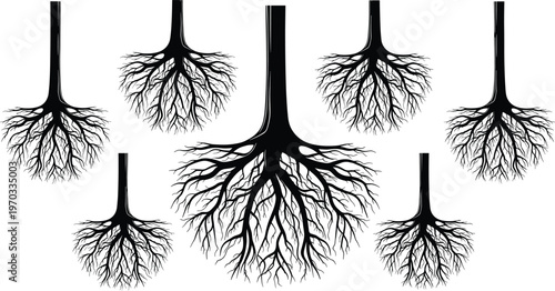 Detailed Black and White Vector Illustration of Upside Down Trees with Intricate Root Systems and Long Trunks on White Background