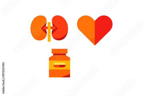 A minimalist flat vector illustration featuring a human heart, a pair