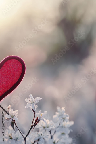 A red heart shaped object sits atop a tree, possibly used for decoration or as a symbol