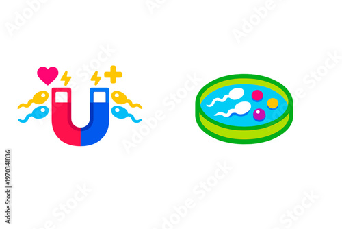 Flat illustration showing sperm cells attracted to a magnet and