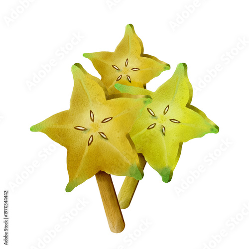 Watercolor carambola slices on wooden sticks, illustration of summer fruit ice cream. Hand drawn.