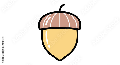 Brown Acorn Nut With Cap.