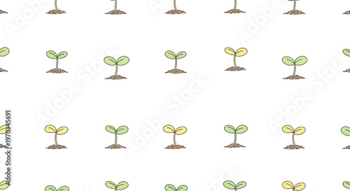 Small green plants growing in rows.