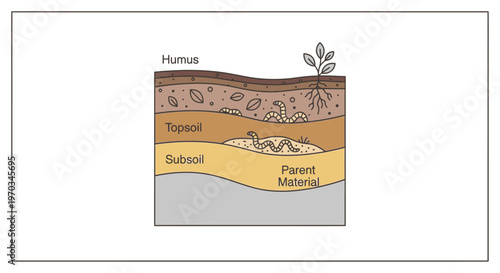 Soil Layers Diagram with Plant Growth.