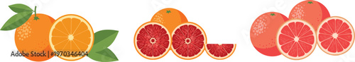 Orange and grapefruit vector set. Collection of citrus fruits with whole oranges, blood orange and grapefruit slices. Flat illustration for food design, packaging and fresh concepts.