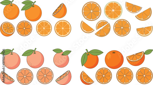 Orange and grapefruit vector set. Collection of citrus fruits, slices and segments in flat style. Fresh illustration for food design, packaging and healthy lifestyle projects.