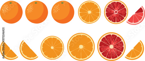 Orange and blood orange vector set. Collection of whole fruits, slices and segments. Bright citrus illustration for food design, packaging, juice branding and fresh healthy concepts.