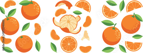 Orange fruit vector set with peeled citrus. Collection of whole oranges, slices, segments and peel. Flat illustration for food design, packaging and fresh healthy concepts.