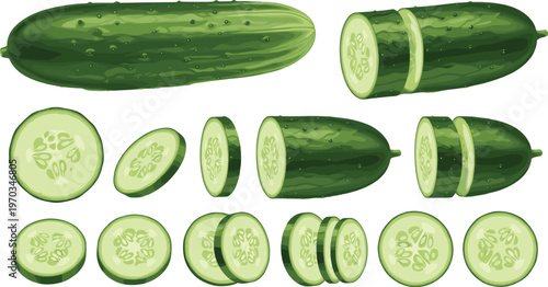 Cucumber slices and whole vegetable flat vector set. Fresh organic green cucumber illustrations. Healthy food ingredient for salad, cooking and grocery design.