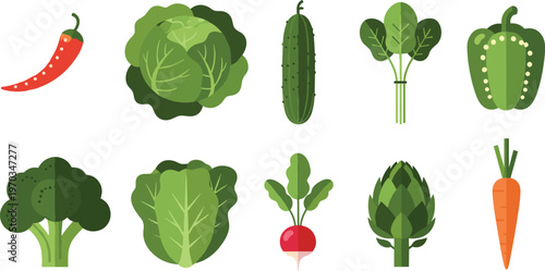 Mixed vegetables flat vector set. Fresh organic produce icons with broccoli cabbage cucumber pepper radish carrot and greens. Healthy food illustrations for grocery and farm design.