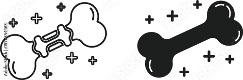 International Passport Icon Set Vector Illustration for Global Travel Citizenship Identity Document Immigration Border 