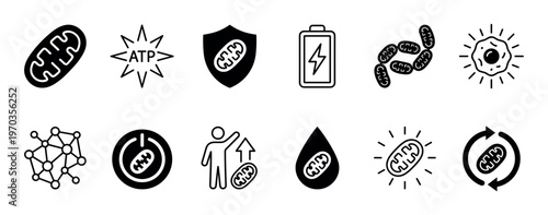 Collection of black glyph icons illustrating mitochondria and related biological concepts such as cellular energy, ATP, human health, power, and scientific processes