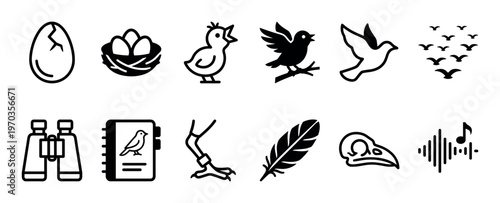 Collection of twelve black birdwatching icons featuring a chick, flying flock, feather, binoculars, field guide, and birdsong symbol in a clean minimalist vector illustration