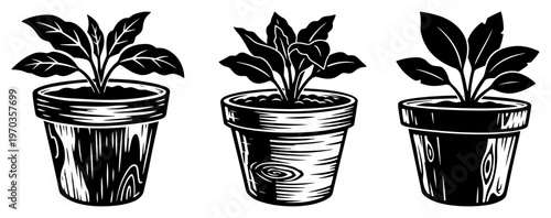 Potted Houseplants Woodcut Illustration Set, Hand Drawn Indoor Plants in Textured Pots Vector Icons