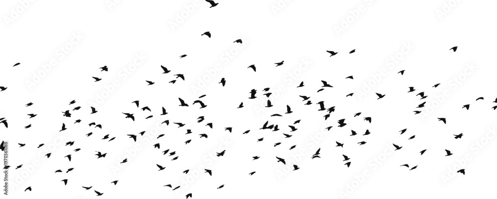 Obraz premium Flock of birds in flight silhouette against a bright sky