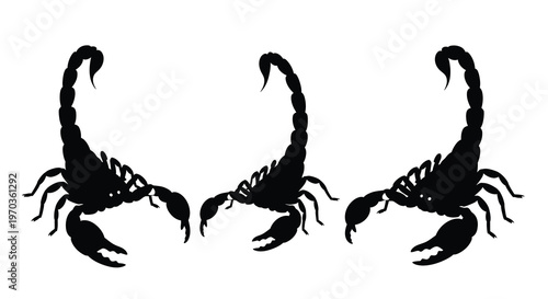 Three scorpions displayed in a striking black silhouette