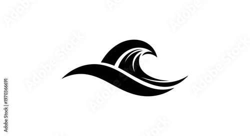 A stylized black leaf design element.