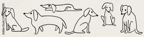 Dachshund dogs hand drawn sketch collection