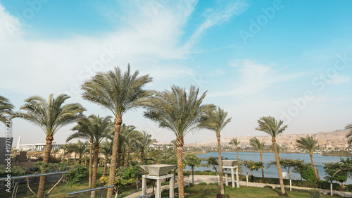 Wallpaper Mural Lush green palm trees sway over a tropical lake, framing a paradise landscape of turquoise and bright blue summer sky Torontodigital.ca