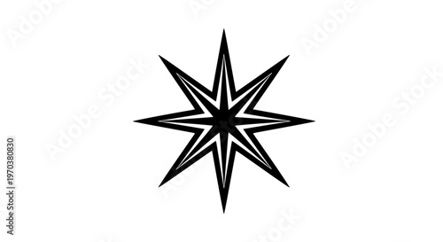 Anise star black white icon