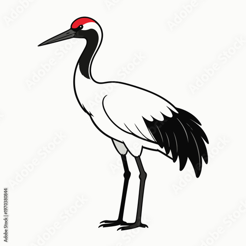 stork vector image