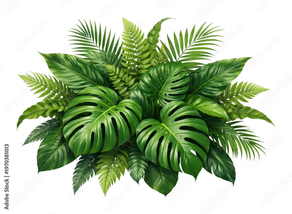Fototapeta premium PNG Lush tropical leaves arrangement.