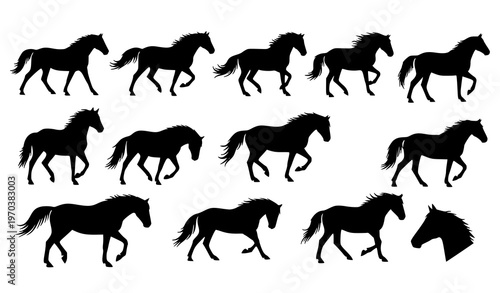 Equine horse silhouette vector set black animal shapes isolated on white