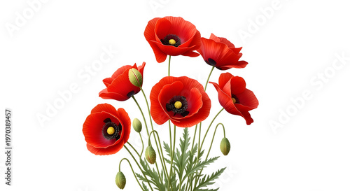 Vibrant red poppies bloom in a lush field of green stems and buds.