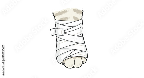 A detailed illustration shows a domestic cat's furry paw wrapped securely in a thick white medical bandage with a visible loose strip of adhesive tape.