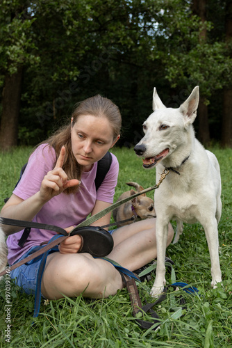 Obraz na plátne young woman professional dog walker is sitting on green grass with a white dog and enjoying a walk with animals