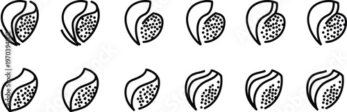 Black and white illustration of various seed pods with leaves in different positions on white background