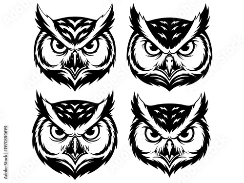 angry owl head vector illustration