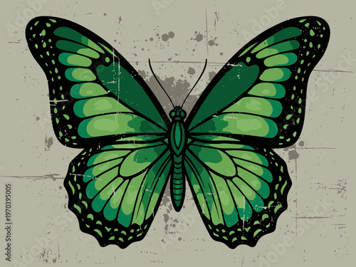 Green Butterfly grunge vector
