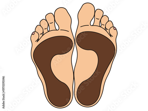 Human feet soles vector