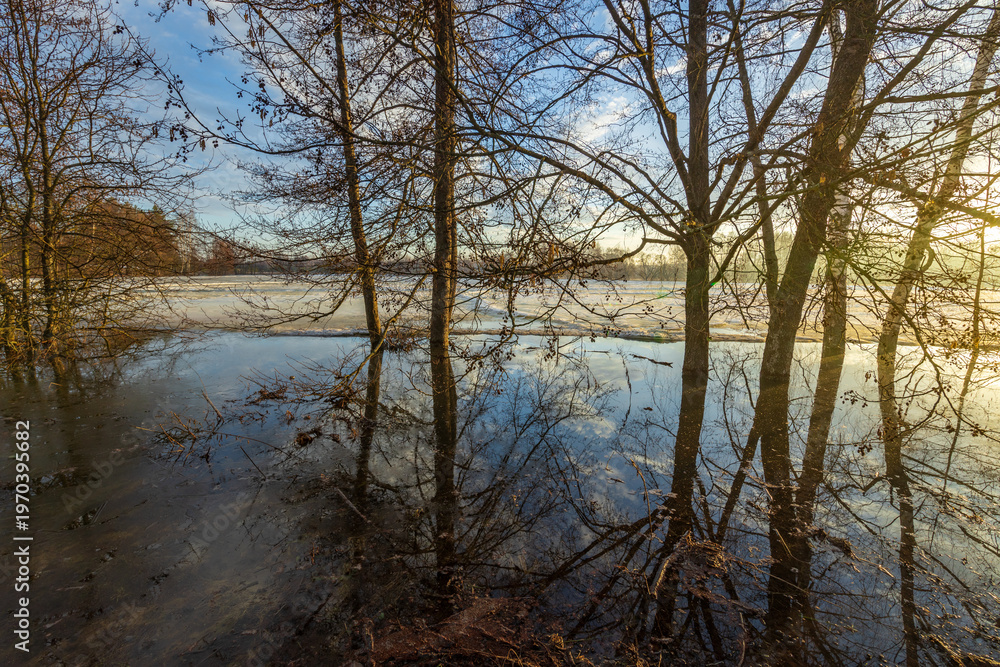 Obraz premium Sunlight glints off a quiet, flooded forest lake