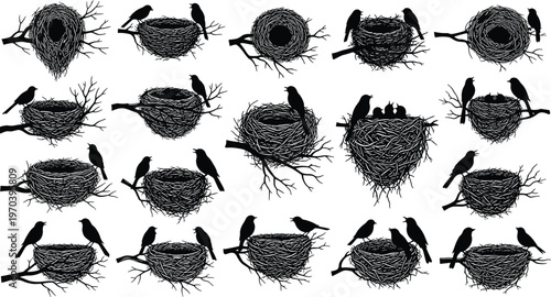 Bird nest silhouette set on tree branches, black avian nest graphics with parent birds, wildlife vector elements for spring design
