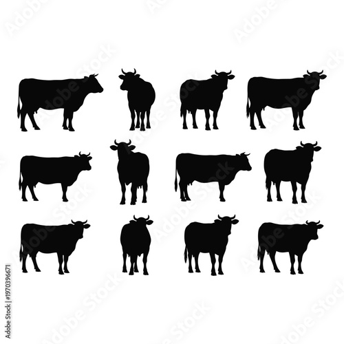 A collection of black silhouettes depicting various poses of cattle and cows