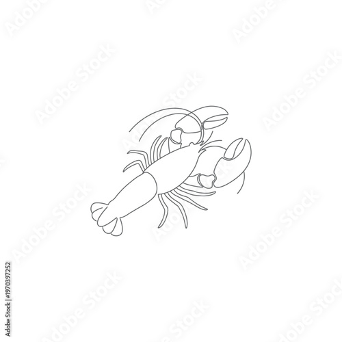 Detailed drawing of a lobster crustacean.